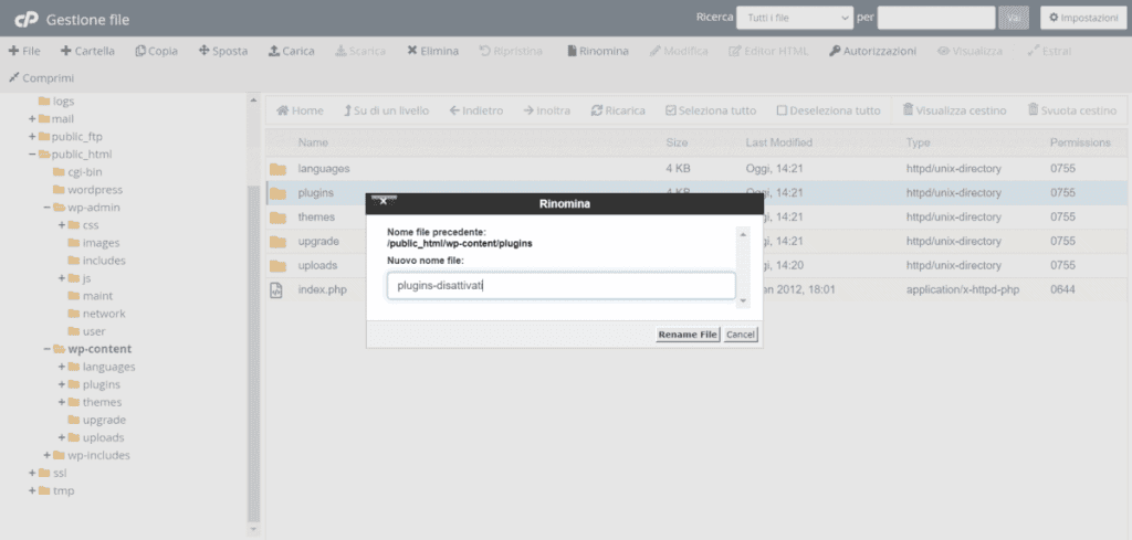 Rinominare Cartella Plugins